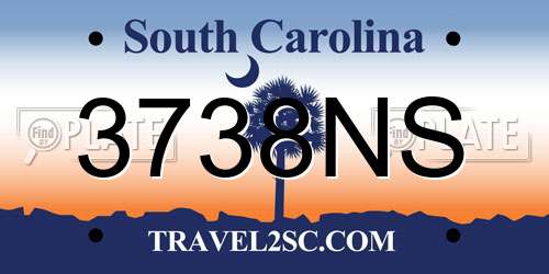 3738NS South Carolina License Plate
