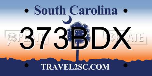 373BDX South Carolina License Plate