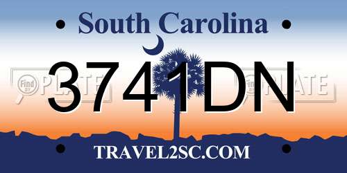 3741DN South Carolina License Plate