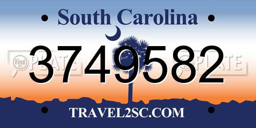 3749582 South Carolina License Plate
