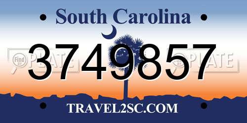 3749857 South Carolina License Plate