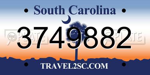 3749882 South Carolina License Plate