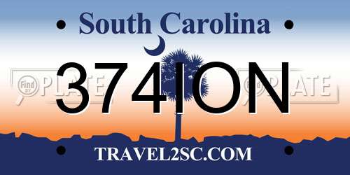 374ION South Carolina License Plate