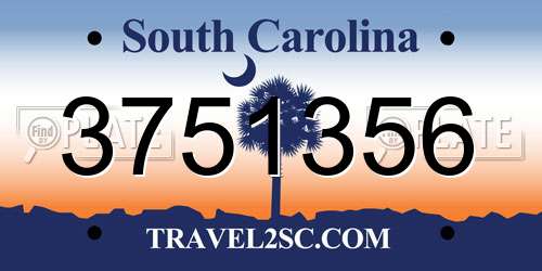 3751356 South Carolina License Plate