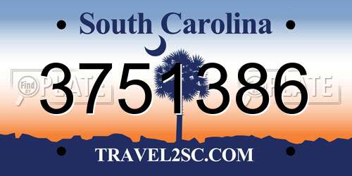 3751386 South Carolina License Plate