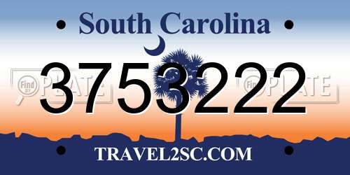 3753222 South Carolina License Plate