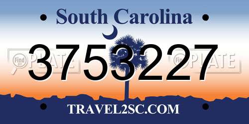 3753227 South Carolina License Plate