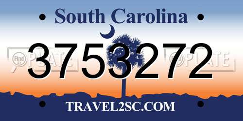 3753272 South Carolina License Plate