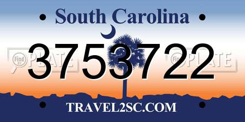 3753722 South Carolina License Plate