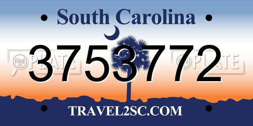 3753772 South Carolina License Plate