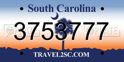 3753777 South Carolina License Plate