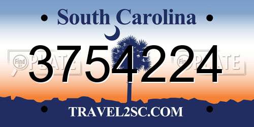 3754224 South Carolina License Plate