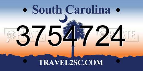 3754724 South Carolina License Plate