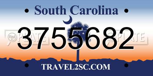 3755682 South Carolina License Plate