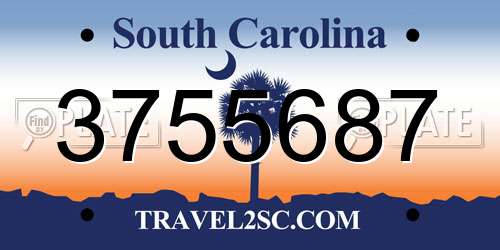 3755687 South Carolina License Plate