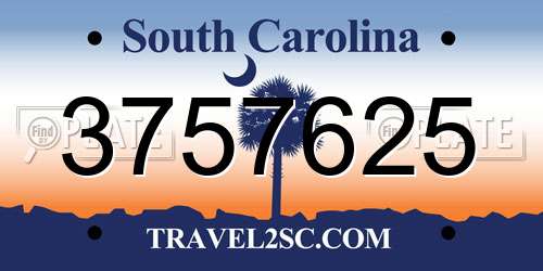 3757625 South Carolina License Plate