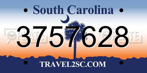 3757628 South Carolina License Plate