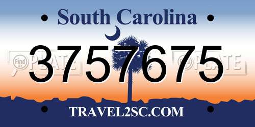 3757675 South Carolina License Plate