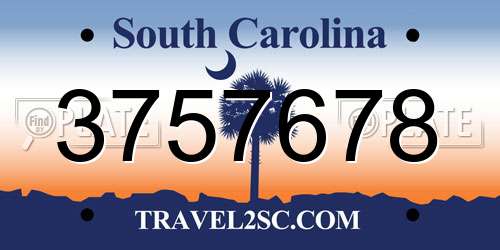 3757678 South Carolina License Plate