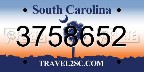3758652 South Carolina License Plate