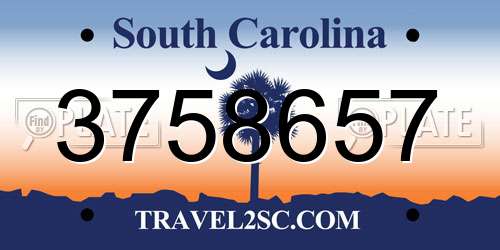 3758657 South Carolina License Plate