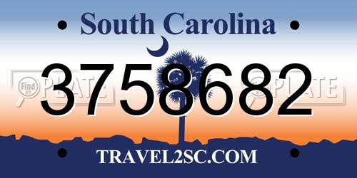 3758682 South Carolina License Plate