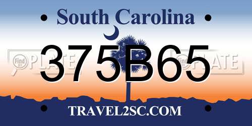 375B65 South Carolina License Plate