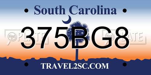 375BG8 South Carolina License Plate