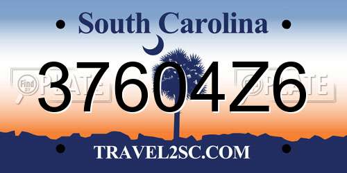 37604Z6 South Carolina License Plate
