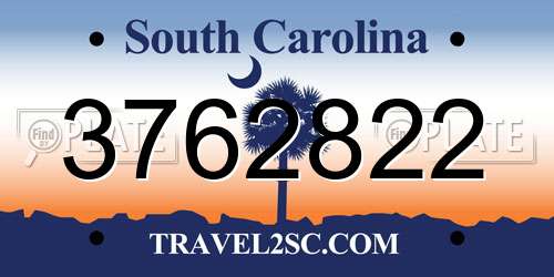 3762822 South Carolina License Plate