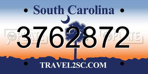 3762872 South Carolina License Plate