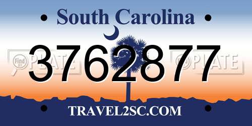 3762877 South Carolina License Plate