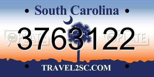 3763122 South Carolina License Plate