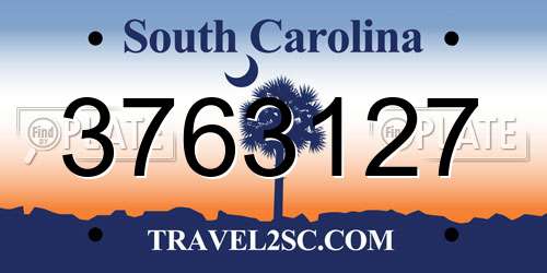 3763127 South Carolina License Plate