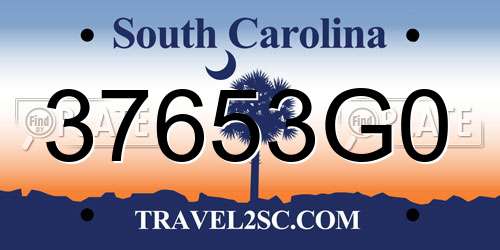 37653G0 South Carolina License Plate
