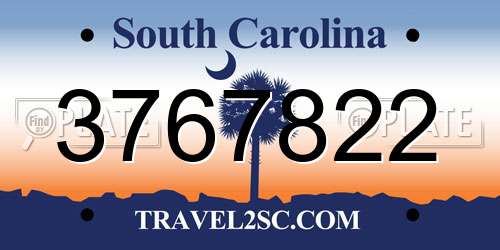 3767822 South Carolina License Plate