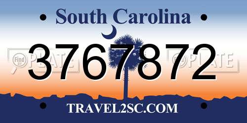 3767872 South Carolina License Plate