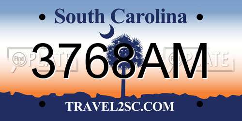 3768AM South Carolina License Plate