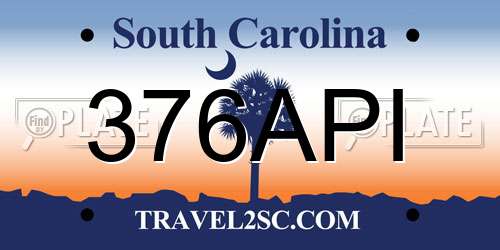 376API South Carolina License Plate