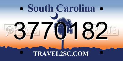3770182 South Carolina License Plate