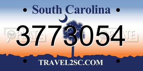 3773054 South Carolina License Plate