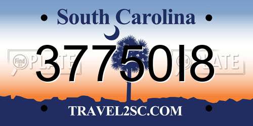 37750I8 South Carolina License Plate