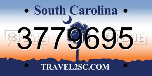 3779695 South Carolina License Plate