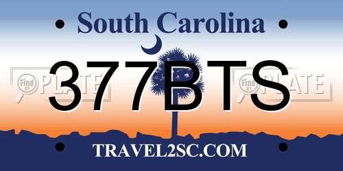 377BTS South Carolina License Plate