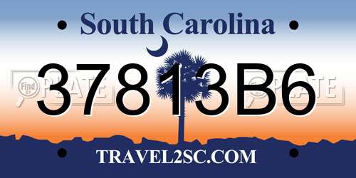 37813B6 South Carolina License Plate