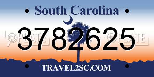 3782625 South Carolina License Plate