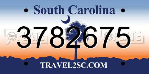 3782675 South Carolina License Plate