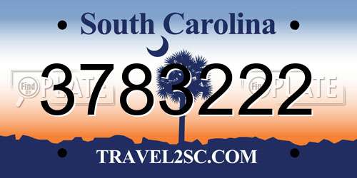 3783222 South Carolina License Plate