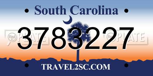 3783227 South Carolina License Plate