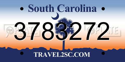 3783272 South Carolina License Plate